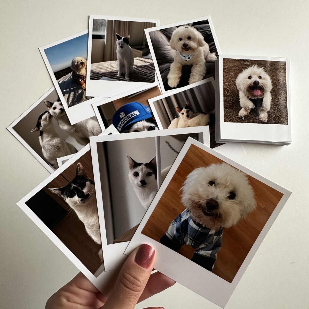 Polaroids espalhadas