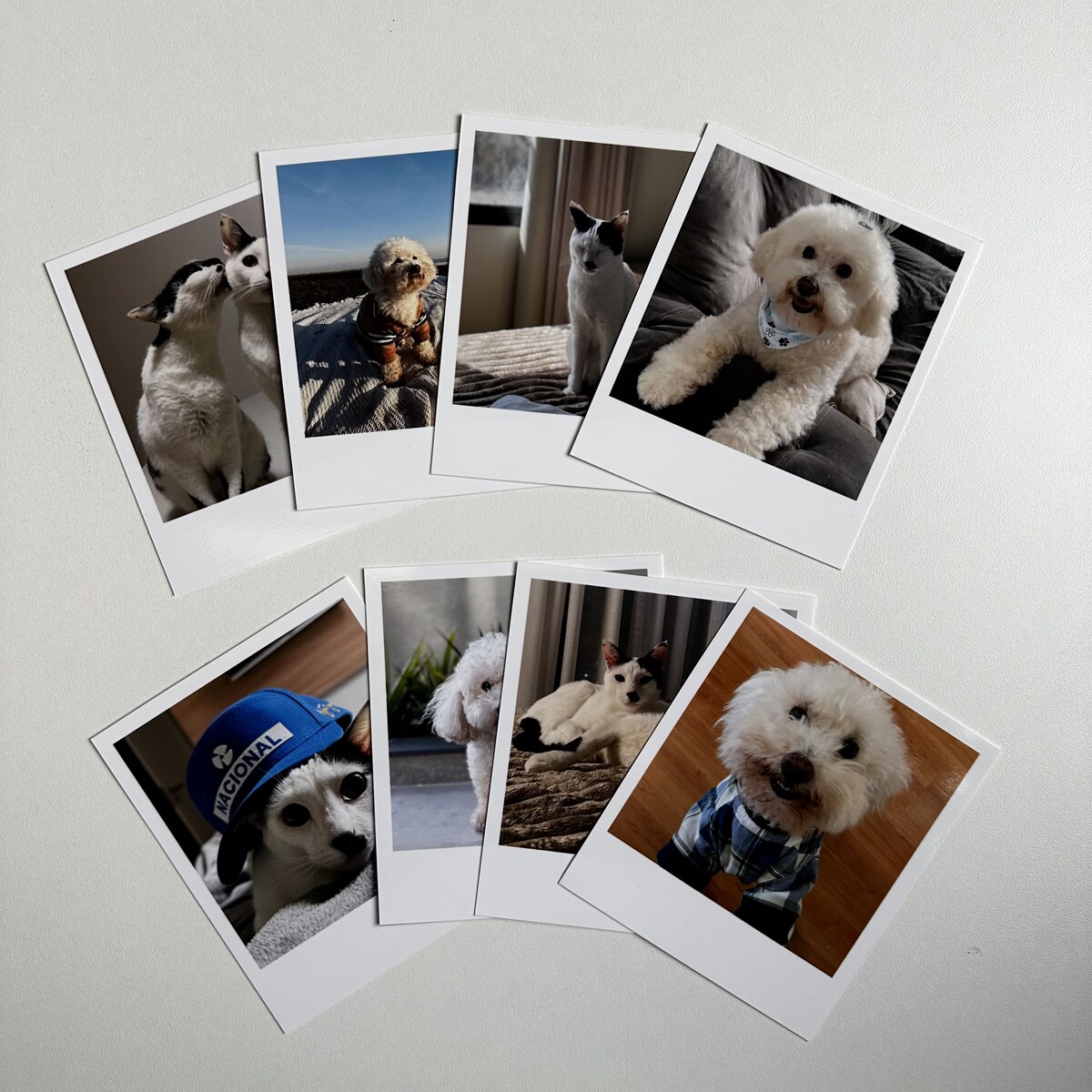 Mão segurando uma polaroid