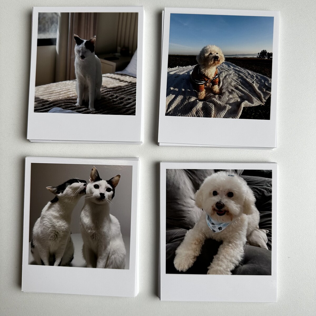 Álbum com polaroids de paisagens